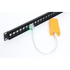 Intellinet Toolless Cat6 Keystone Jack with LED –25 Pack -