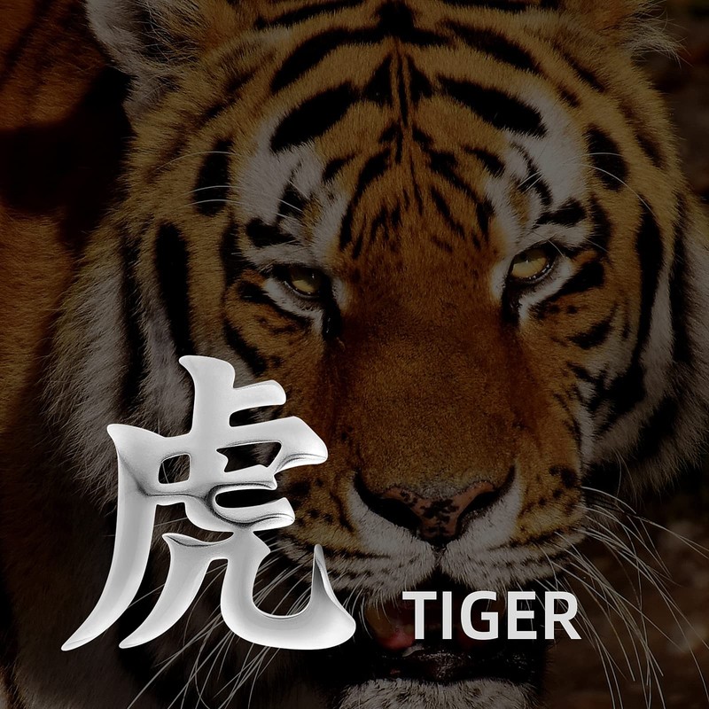 Wchama Tiger Kanji Necklace Japanese for Men Women Stainless Steel