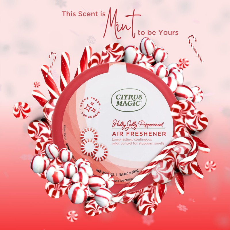 Citrus Magic Holiday Odor Absorbing Solid Air Freshener, Holly Jolly