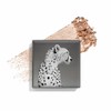 Chantecaille Luminescent Eye Shade 2.5g, Elephant / 샹테카이 루미네센트 아이섀이드