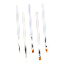 Healeved 5pcs Nail Art Brush Premium Painting Pens for Manicure for Nail Art Design and Detailing Includes Brushes for Professional Results