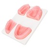 Dental Suture Practice Kit Silicone Model Pliers Tweezers Thread Oral