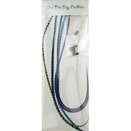 5 Feather Hair Extensions Real Feathers 22-28cm with Rings/Loops (Moonlight)