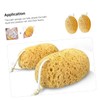 SAFIGLE 2Pcs Body Scrubber Sponges Soft Exfoliating Bath Sponges for