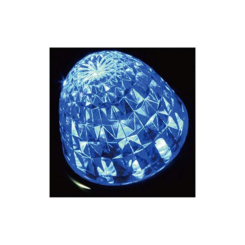 Jet Inoue 532681 Queen Star Light Bath Marker, 24V, Blue