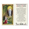 Oracion a Nuestra Senora de Lourdes Laminated Prayer Cards -