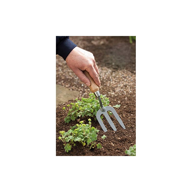 Spear & Jackson 4094KEW Kew Gardens Collection Neverbend Carbon Weed