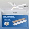 Rayqueen 60 Inch Ceiling Fans with Lights and Remote,Flush Mount