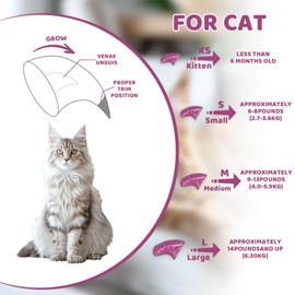 IRWU Cat Nail Caps with Glue - 20pcs Pet Kitten Cat Claw Caps Cat Claw Covers for Small Medium Large Cats - Rose Red XS