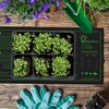Hyindoor 10"x20.75" Heat Mat with Thermostat Garden Heater, Germination Mat,