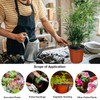 Augshy Augshy 40 Pcs 6" Plastic Plant Nursery Seed Starting