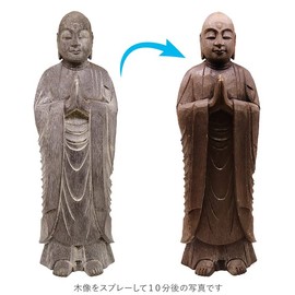 Sakae Kensetsu Clean Sing Mold ZERO Strong Mold Remover, 16.9 fl oz (500 ml)