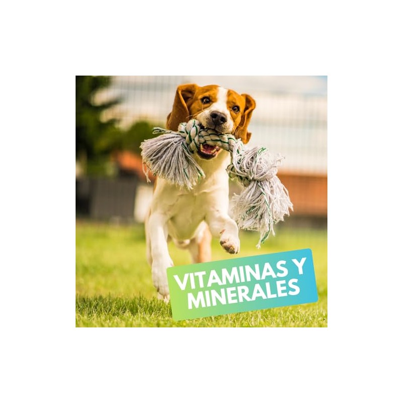 Fancy Pets MS Immune Tabletas Masticables para Perros – Suplemento