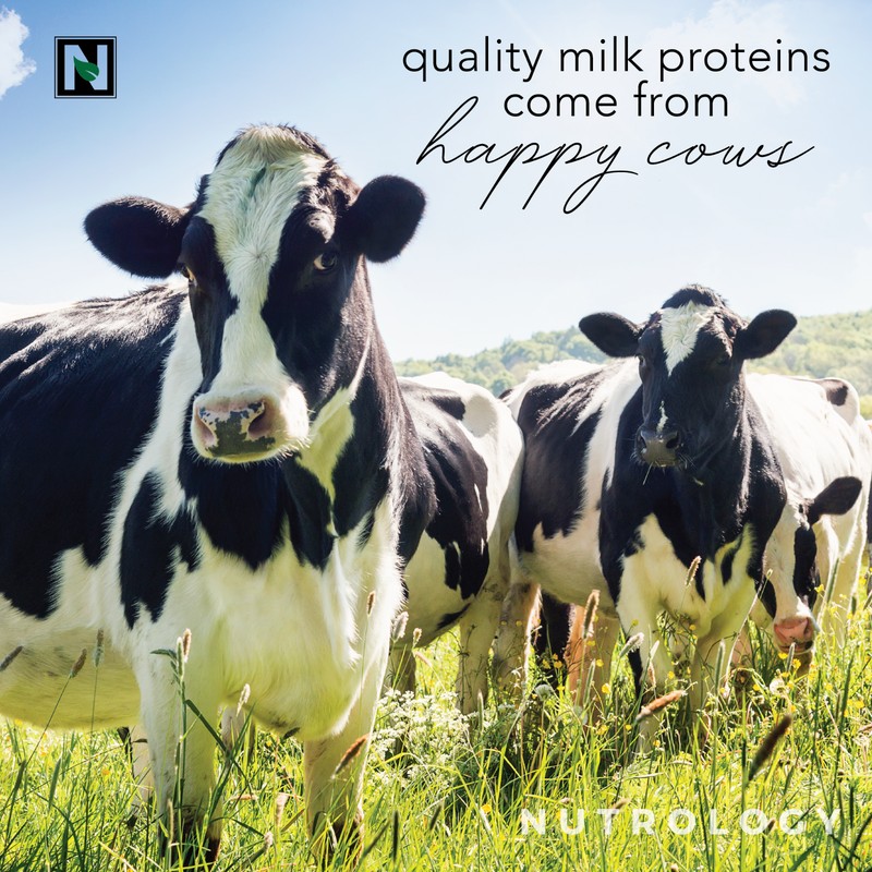 Nutrology Grass Fed - Non GMO - Cold Pressed Whey
