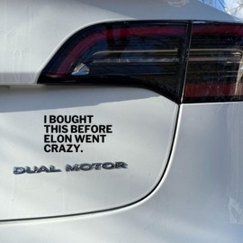 I BOUGHT THIS BEFORE ELON WENT CRAZY - Der Ableger aus den USA - Anti ELON STATEMENT Car Sticker Vinyl Sticker (Matte Black) - GreenWise