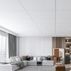 Art3d 10-Pack Smooth Drop Ceiling Tile 2ft x 4ft -