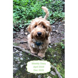 Weekly Diary April 2019-Dec 2020: 6x9 week to a page planner with notes & to do list each week. Extra notes pages included. Perfect for self-employed, ... planner. Cockerpoo with green back cover