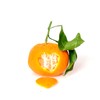 Satsuma Mandarin Tree - XL. Citrus unshiu. 6" - 10"