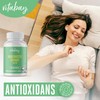 Vitabay Milk Thistle Artichoke Dandelion Complex High Dose - 90