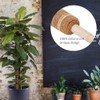 3Pcs 450mm Coir Totem Pole Moss Stick Fibre Plant Climbing