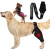 Protector de Codo para Perros, Almohadillas Protectoras para Codos y
