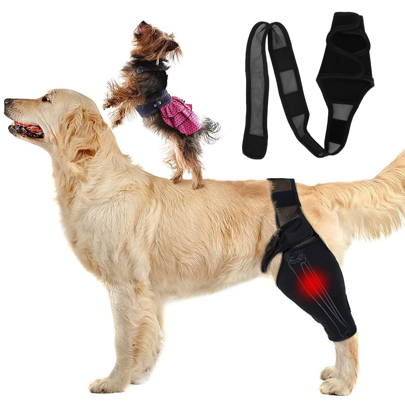Protector de Codo para Perros, Almohadillas Protectoras para Codos y