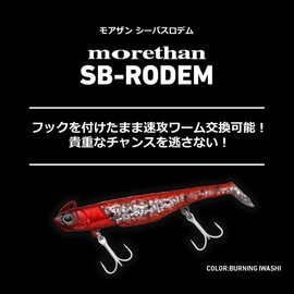 DAIWA Moissanite Sea Bass Rodem 0.6 oz (18 g) Seguroi Sardine