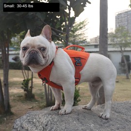 ICEFANG GN8 Tactical Dog Harness with 4X Metal Buckles for Small Sized Dogs,Reflective in Training Walking K9 Vest,No-Pull Front Leash Clip,Adjustable Pet Harness (Orange, Small (Pack of 1))