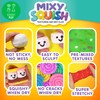 Mixy Squish Made by Me Deluxe Pack by Horizon Group
