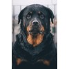 Rottweiler Notebook: Beautiful Rottweiler Dog Journal Diary Size 6"x 9",