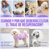 SlowTon Traje de Recuperación para Perros Macho Hembra, Camisa Recuperación
