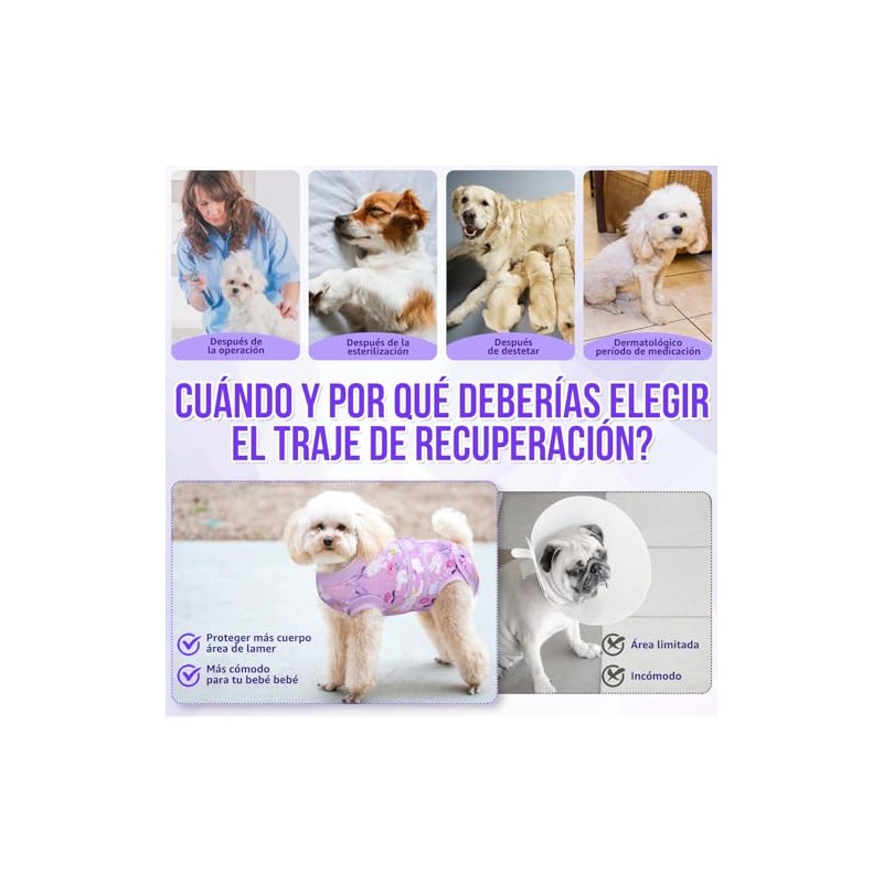 SlowTon Traje de Recuperación para Perros Macho Hembra, Camisa Recuperación