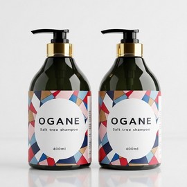 Come and go [2 items] Ogane Red Tree Houttuynia cordata Shampoo 400ml Salt Tree Itchy Scalp Soothing Dead Skin Care / [2개] 오가네 붉나무 어성초 샴푸 400ml 솔트트리 가려운 두피 진정 각질 케어