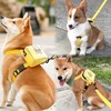 Dog Bag and Leash Set - Dog Bag Harness for