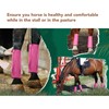 4pcs Horse Leg Covers Breathable Lightweight Protective Wrap Socks Horse