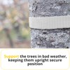 White Tree Tie Webbing Strap 3/4" x 250' - Heavy
