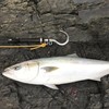 SAN LIKE Flying Gaff Hook with 6M Rope, Fishing Sea