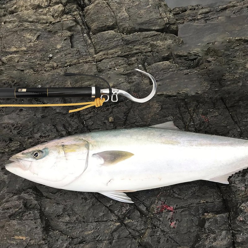 SAN LIKE Flying Gaff Hook with 6M Rope, Fishing Sea