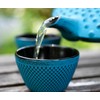Zen Minded Traditional Japanese Cast Iron Tea & Coffee Cup