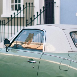 Mr. & Mrs. Panda Car Sun Shade Bear Honey - Gift, Teddy, Sun Protection Baby, Lover, Partner, Teddy Bear, Sun Protection Car Window, Friend