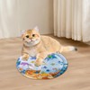 Cat Water Mat,Thickened Play Mat Water Toys for Cats |