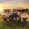 ZELARMAN 2 Pcs Hay Bags for Horse, Large Capacity Feeding