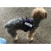 ADPOT ME Nylon Dog Vest Harness. Purchase comes with 2
