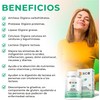 BIO B Enzimas Digestivas Digezyme Prebióticos 5 Enzimas Lactasa 90Cáp