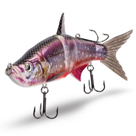 FISHN® TRAWL27 - XL Swimbait, Magnetic Top Hook System, Diving Depth: 2-5 Metres, 27 cm, 218 g, Slow Sinking, 3 Taking Points, Large Trolling Bait for Pike Fishing (TRAWL27 Char)