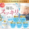 【クリニック共同開発】 BIOSHINE ビフィズス菌 酪酸菌 サプリ 乳酸菌6兆個 国内製造 菌活 オリゴ糖 イヌリン