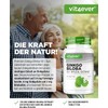 Vit4ever® Ginkgo Biloba 6000, 360 Tablets – High-Dose with 6000