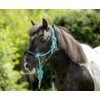 USG 15050024 Knot Halter Braided Nose Band with Rhinestones Turquoise