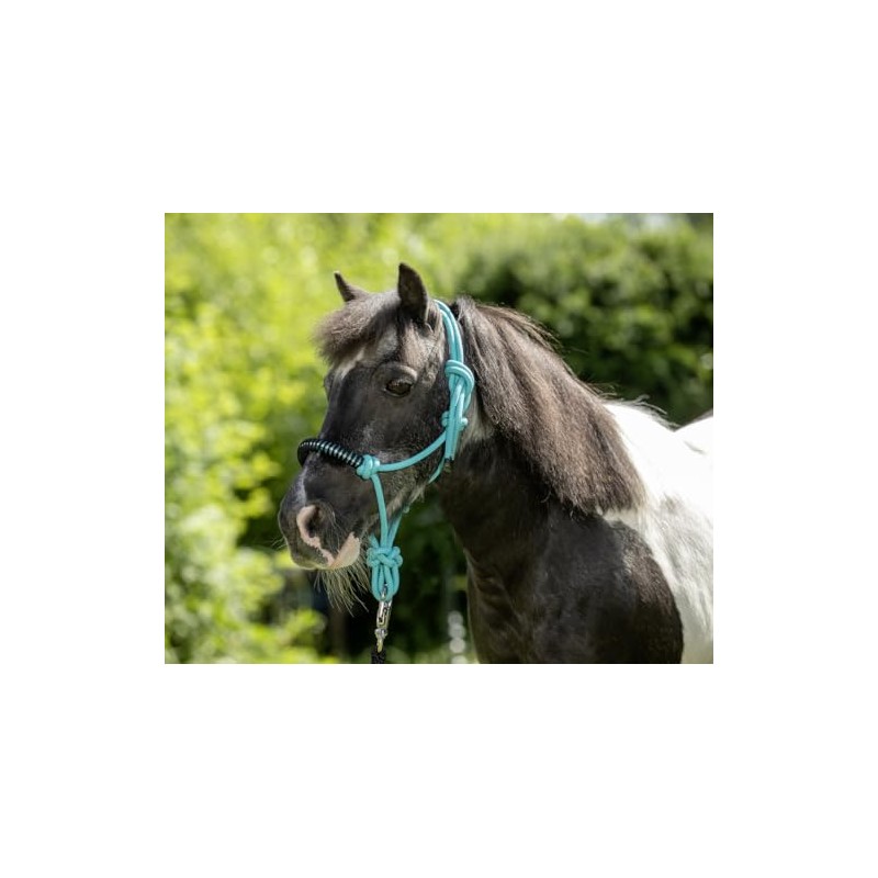 USG 15050024 Knot Halter Braided Nose Band with Rhinestones Turquoise