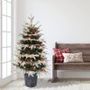4.5 ft Pre-lit Potted Flocked Halifax Fir Tree, 739 Tips,